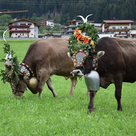 Ferienhaus Oberhuben Fuegenberg Buitenkant foto